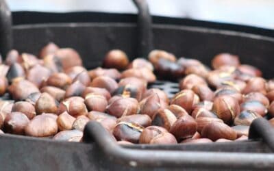 Vabljeni na kostanjev piknik